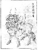 cjwz20130638