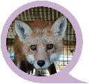 cjwz20140145