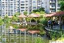 csgl20130306