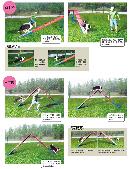 cwsj20130720