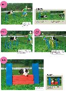 cwsj20130720