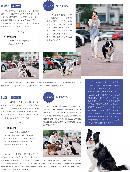 cwsj20130824