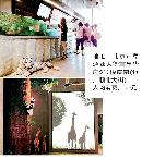 cwsj20130807