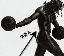 ddtl20131405