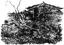 duzh20131306