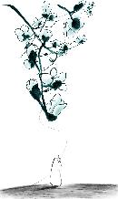 duzh20131403