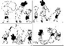 duzh20131442