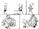 duzh20131442
