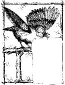 duzh20131645