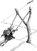 duzh20131856
