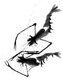 duzh20140255