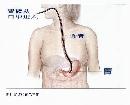 dzjk20130767