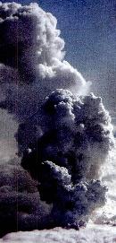 zira20130601