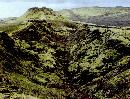 zira20130601