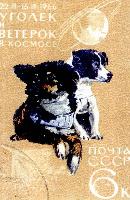 zira20130604