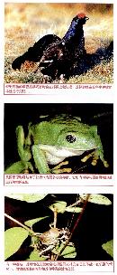 zira20130813