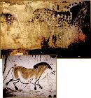 zira20131010