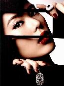 fhsh20130810