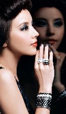 fhsh20140109
