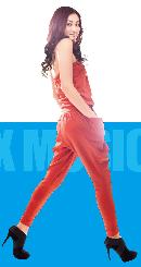 fhsh20140118