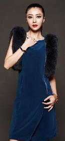 fhsh20140127