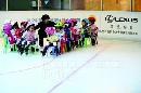 fszd20130115