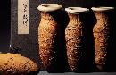 wsck20132220