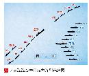 wsck20141404