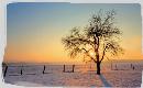 grdn20140103