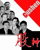 gsdt20134405