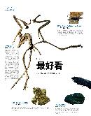 gtzy20130544