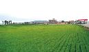 gtzy20130709