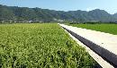 gtzy20130717