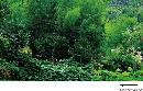 gtzy20130743