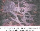 gtzy20130748