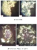 gtzy20131004