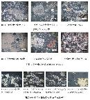 gtzy20131019