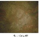 gtzy20131021