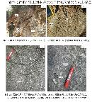 gtzy20131022