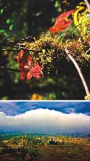 hqdl20130803