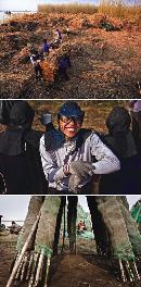 hqdl20131106