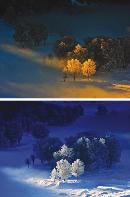 hqdl20131112