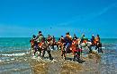 hqdl20140105