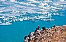 hqdl20140107