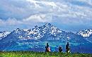 hqdl20140120