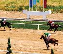 hqdl20140808
