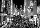 hwxy20131420