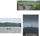 hwxy20132022
