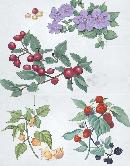 hysn20130710