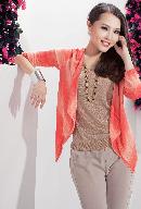 hysn20130822